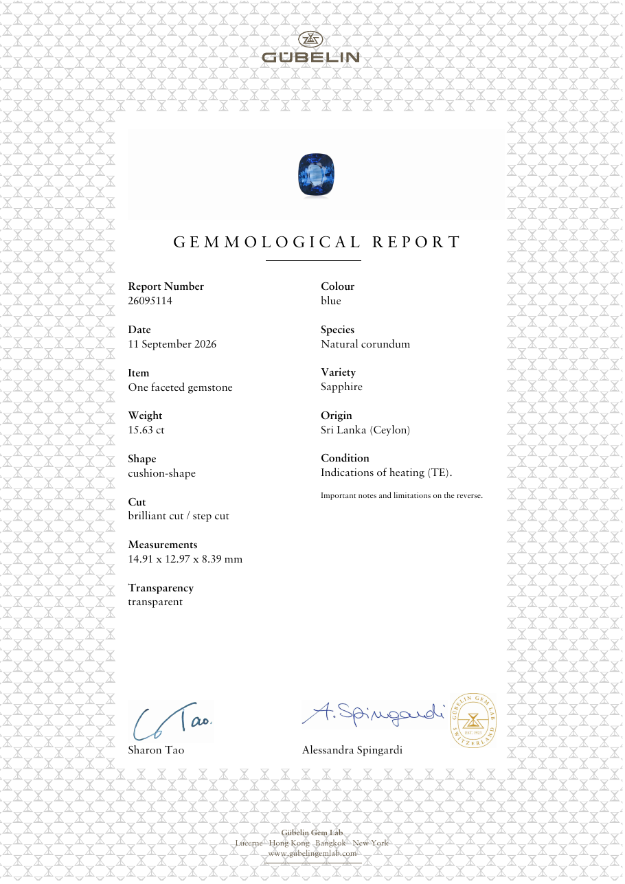Gübelin gemmological report 26095114